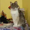 Отзыв от Римма Пирогова